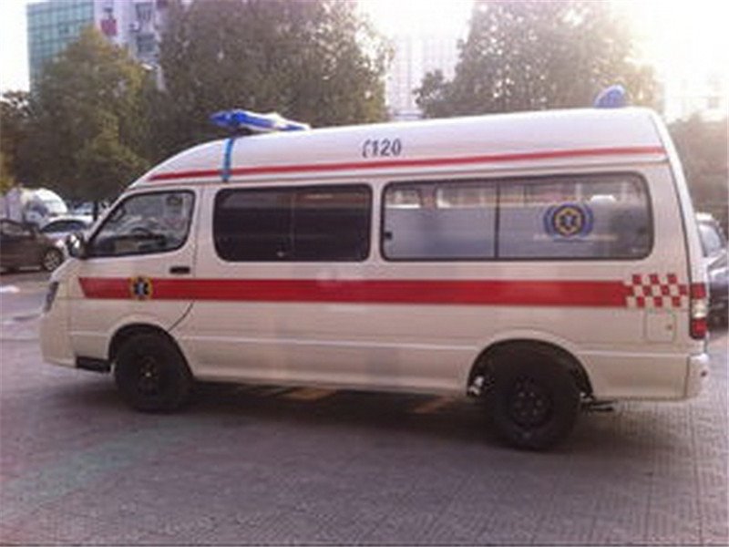 讓你秒懂金杯海獅急救車