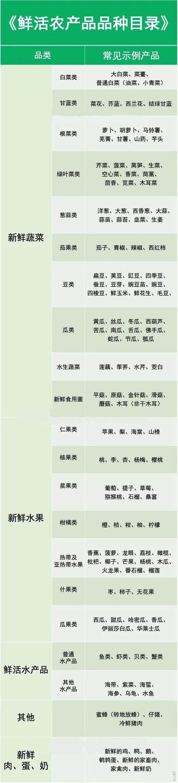 綠通車道2020最新免費標準你知道嗎