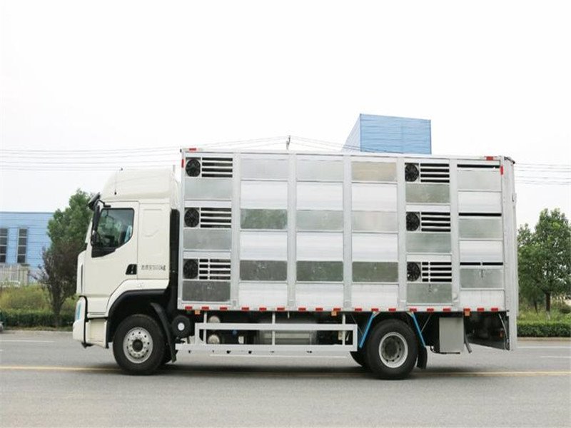 柳汽乘龍前四后八畜禽運(yùn)輸車評(píng)測(cè)