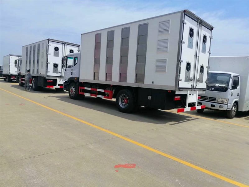 東風(fēng)多利卡D9國六雛禽運輸車雙12優(yōu)惠享不停