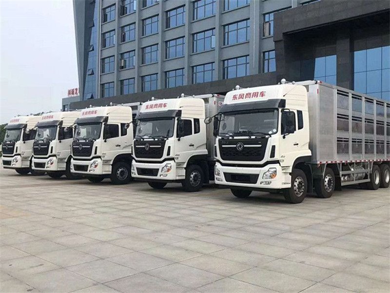 東風(fēng)天龍活豬裝運(yùn)車廠家火熱直銷