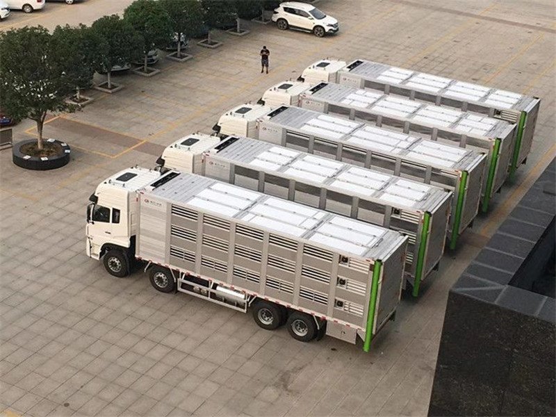 東風(fēng)天龍活豬裝運(yùn)車廠家火熱直銷