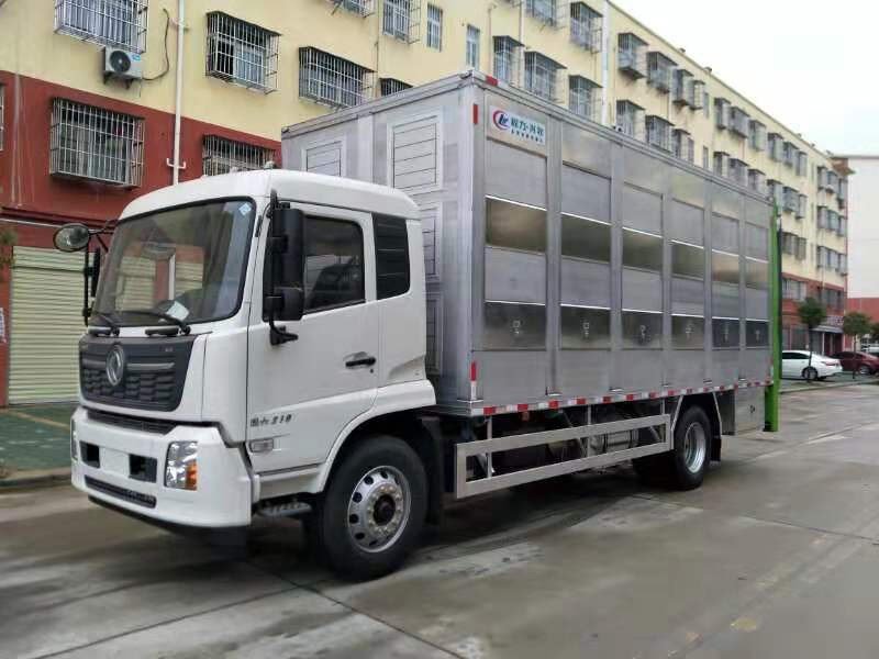 小豬豬們喜愛的國六運豬車來了
