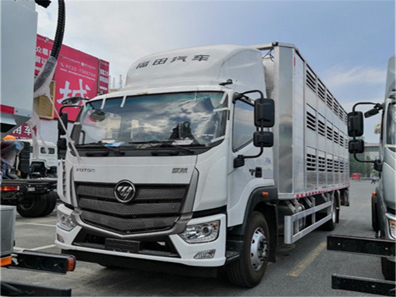 7.8米國六運豬車新款上線