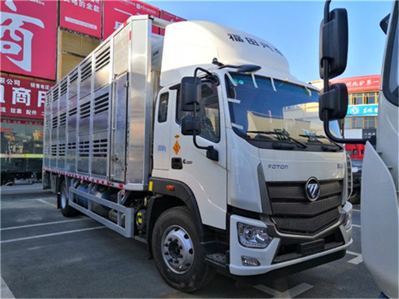 7.8米國六運豬車新款上線
