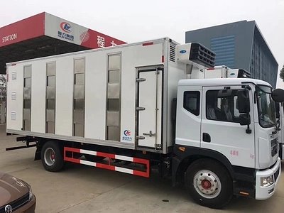 國六東風(fēng)多利卡D9雛禽運(yùn)輸車