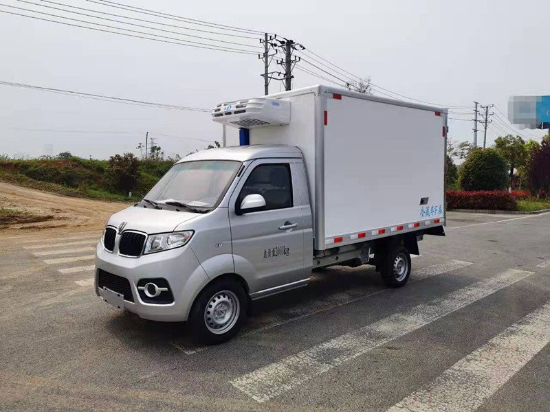 金杯T30汽油冷藏車