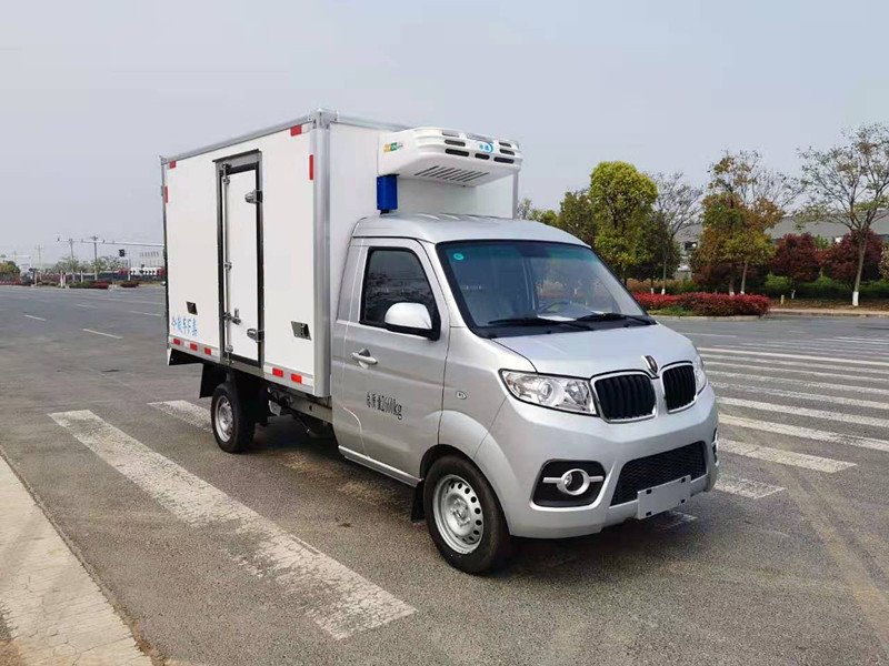 金杯T30汽油冷藏車
