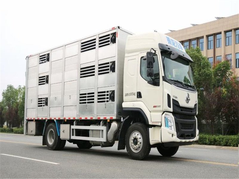 柳汽國六運(yùn)豬車廠家直銷