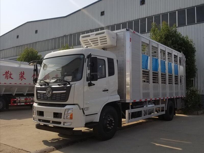 國六雛禽運輸車源頭廠家