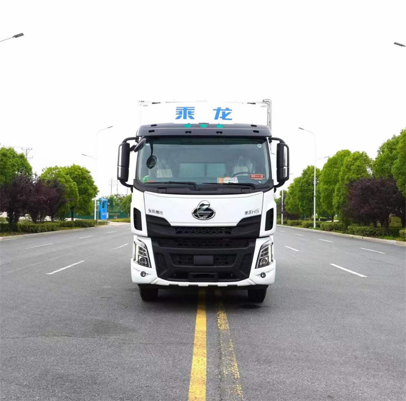 柳汽乘龍H5高頂雙臥冷藏車(chē)