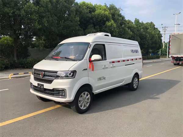 國六金杯新海獅S面包冷藏車